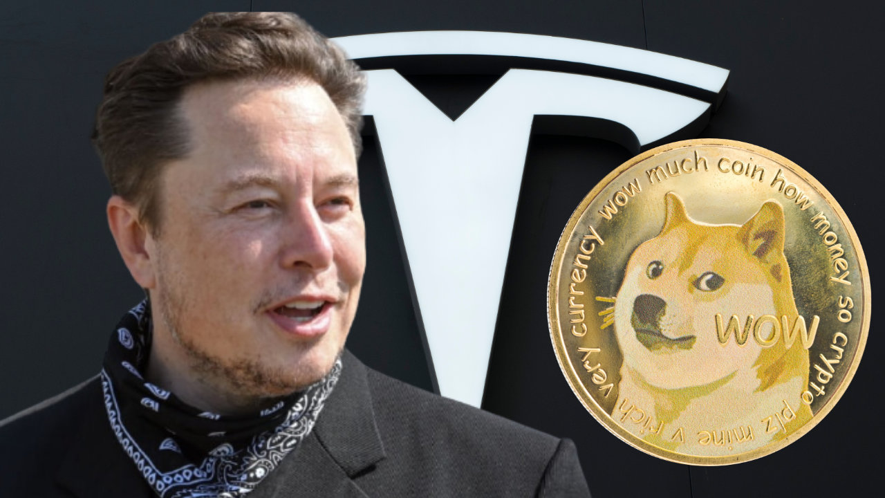 Tesla Merch Accepts DOGECOIN
