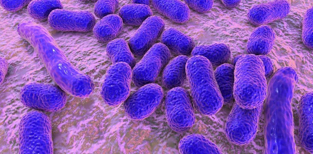 antibiotic resistance, bacteria, health