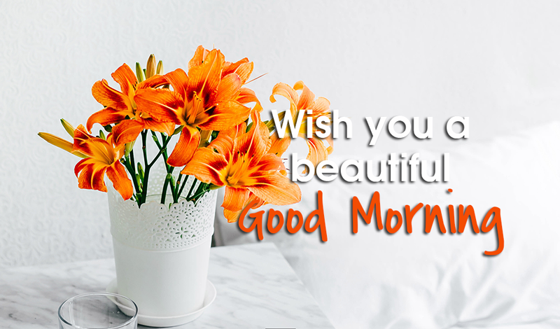 Best Good Morning Wishes Quotes Whatsapp Status Images Photos Picture