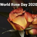 Welfare Of Cancer Patients Day World Rose Day 2020
