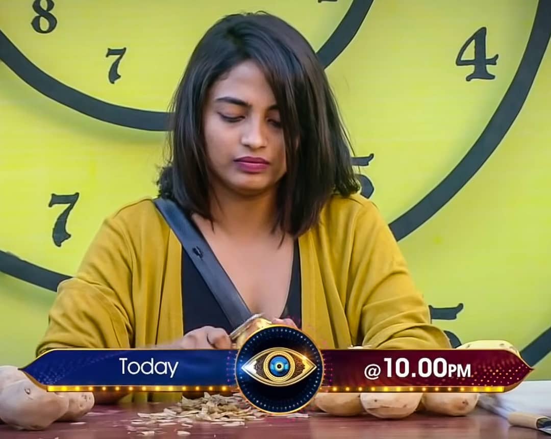 Bigg Boss Telugu 4 11th December 2020: Will Harika Evict This Week Least Voting Results For Week 14 Elimination?