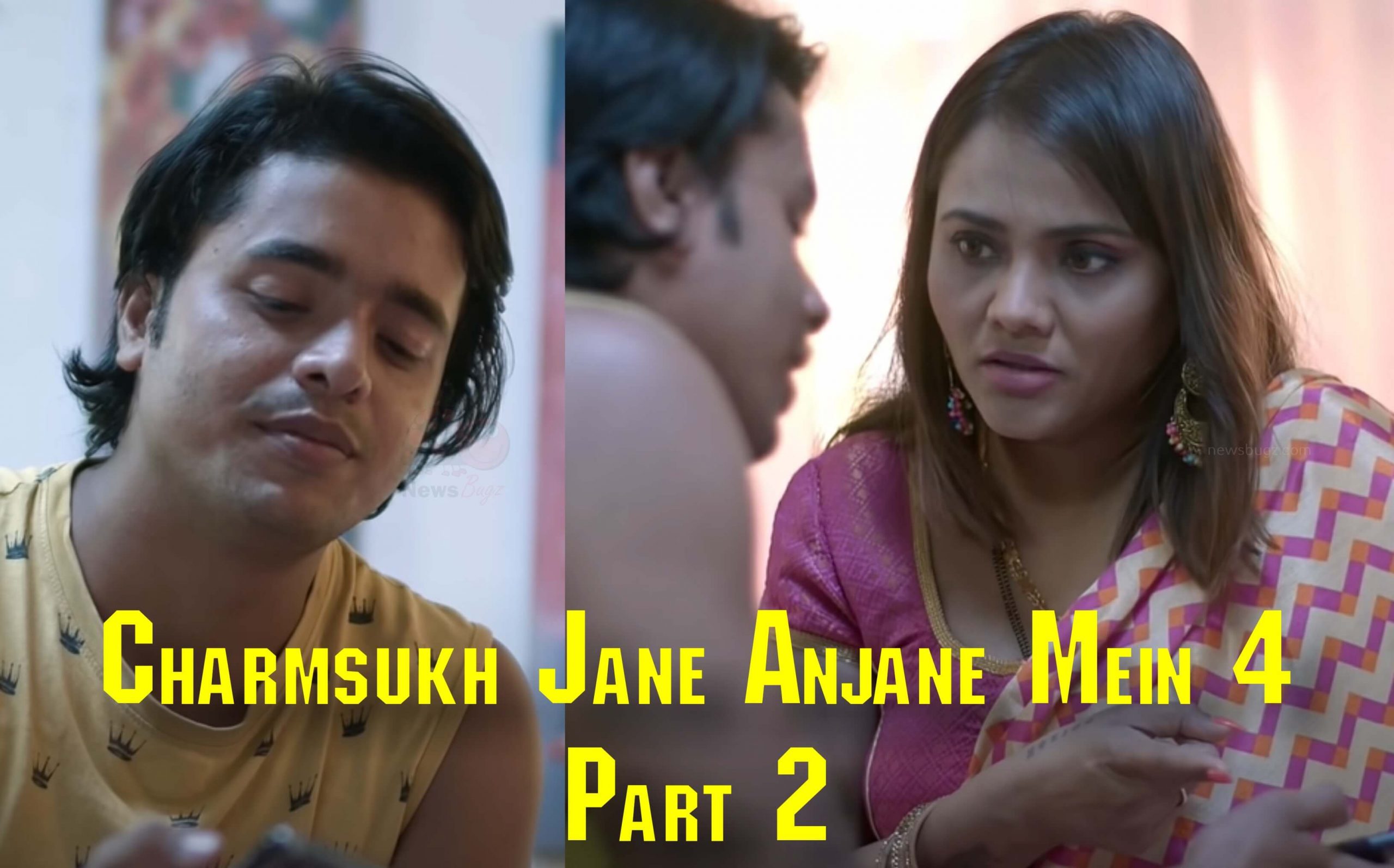 Charmsukh Jane Anjane Mein 4 Part 2 Episode Review