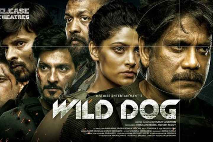 Wild Dog Box Office Collection