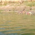 Bodies in PPE Kits Found Floating in Ganga .