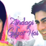 Zindagi Gulzar Hai Show