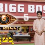 Bigg Boss Telugu 5 Host