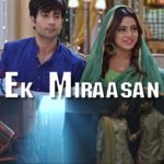 Ek Miraasan Ullu Web Series Review