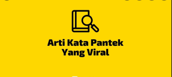 Apa Arti pantek viral video