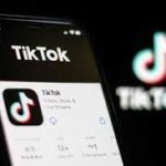 What is Go Little Rockstar Song on TikTok explained