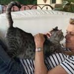 Presenter Vanna White Broke Down After Losing Her Cat Stella At WHEEL Of Fortune Pictures