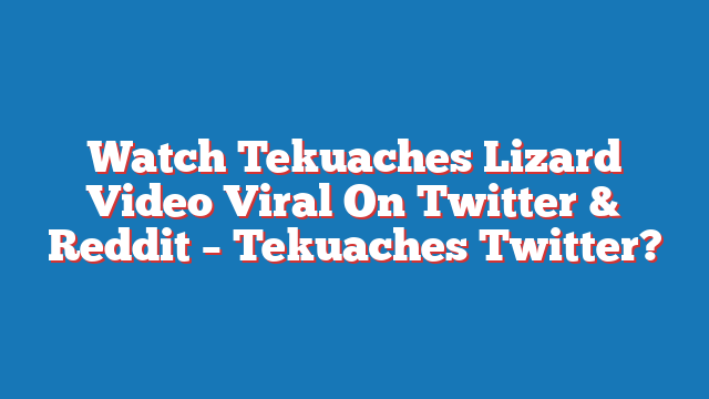Tekuaches Lizard Video Viral On Twitter & Reddit