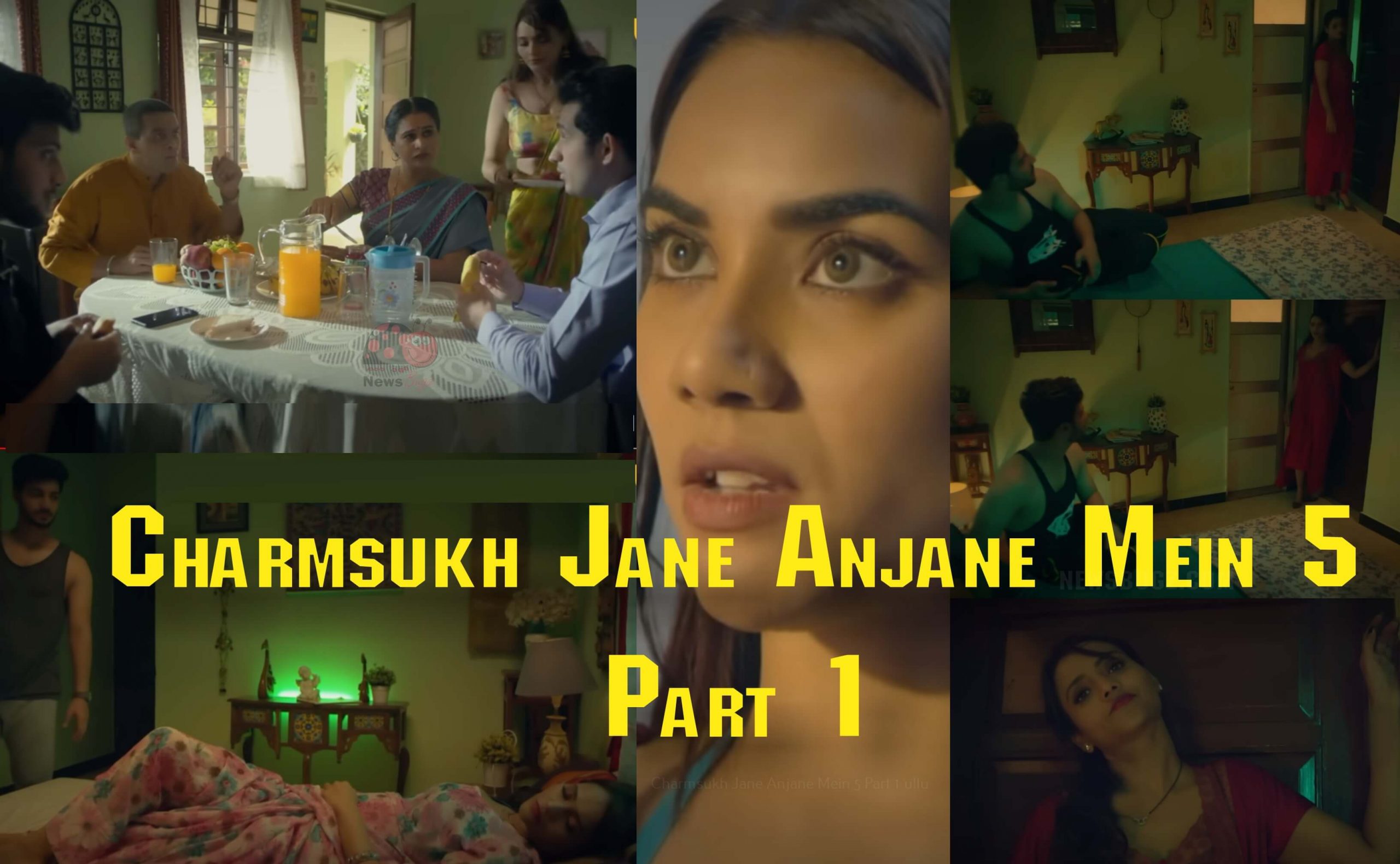 Charmsukh Jane Anjane Mein 5 (Part 1)