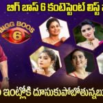 Bigg Boss 6 Telugu Contestants