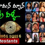 Bigg Boss 6 Telugu Contestants